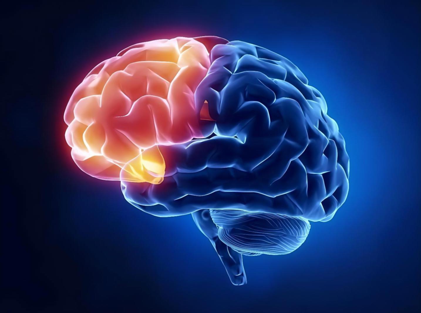 Live-Webinar zur Modellbewertung